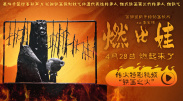 不卡福利视频