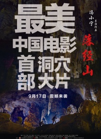 美味的姨母在线观看