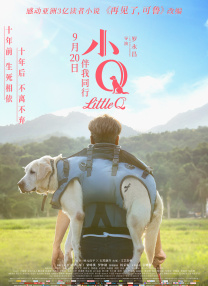 91视频观看免费