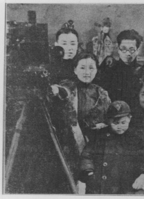 我的团长我的团全集免费观看