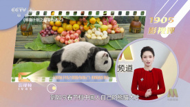 成人在线视频论坛