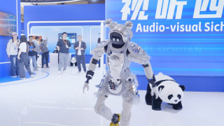 欧美自拍三区